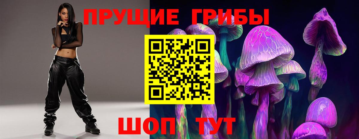 Псилоцибиновые грибы мицелий Узловая