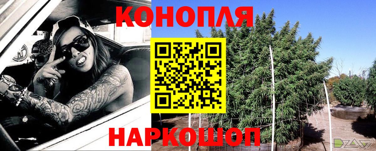 Бошки Шишки план Узловая